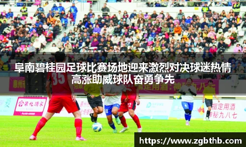 阜南碧桂园足球比赛场地迎来激烈对决球迷热情高涨助威球队奋勇争先